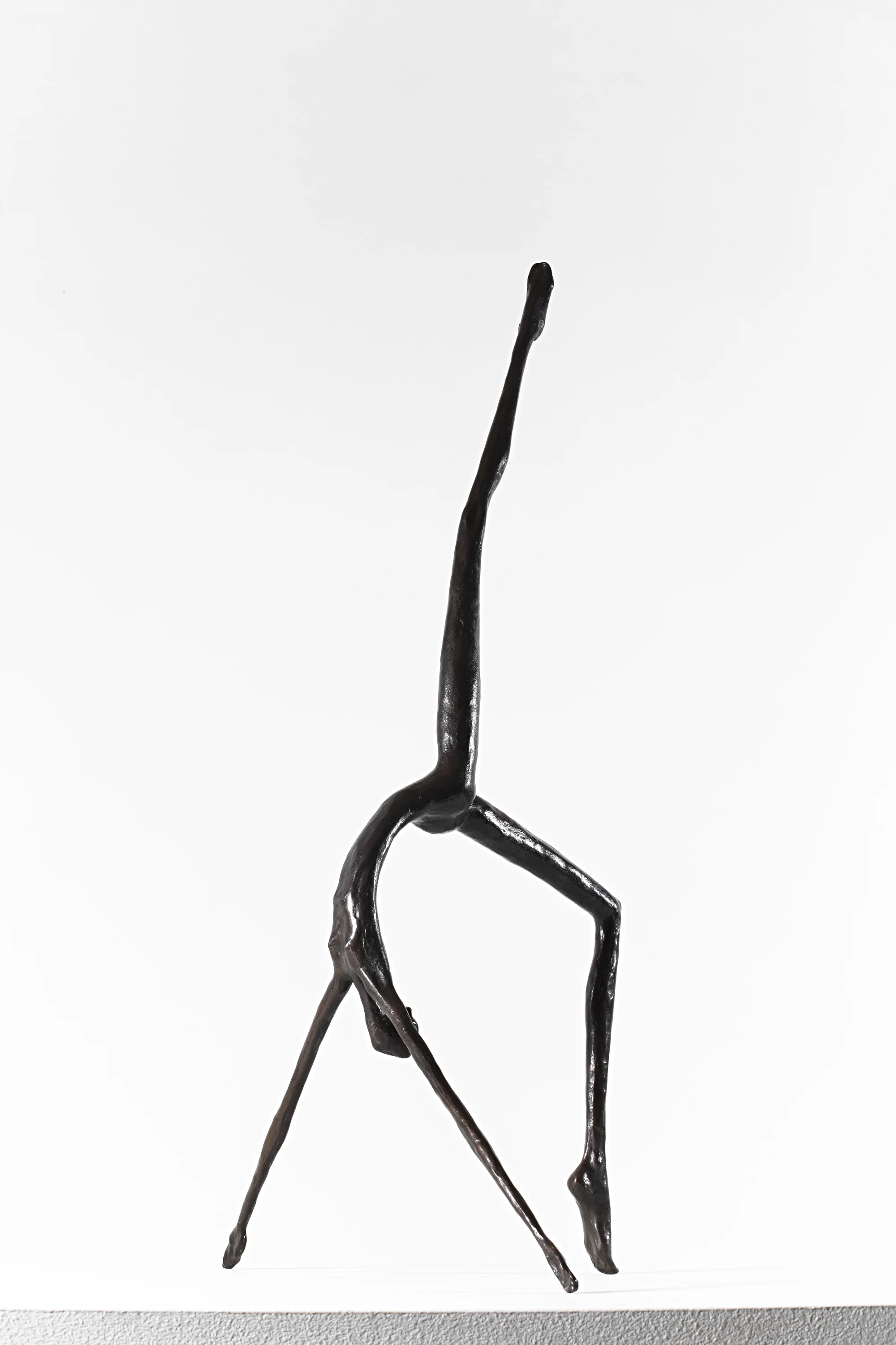 Eternal Leap Bronze Ed. /30 Lost wax 70 x 40 x 20 cm