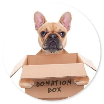donating2.jpg