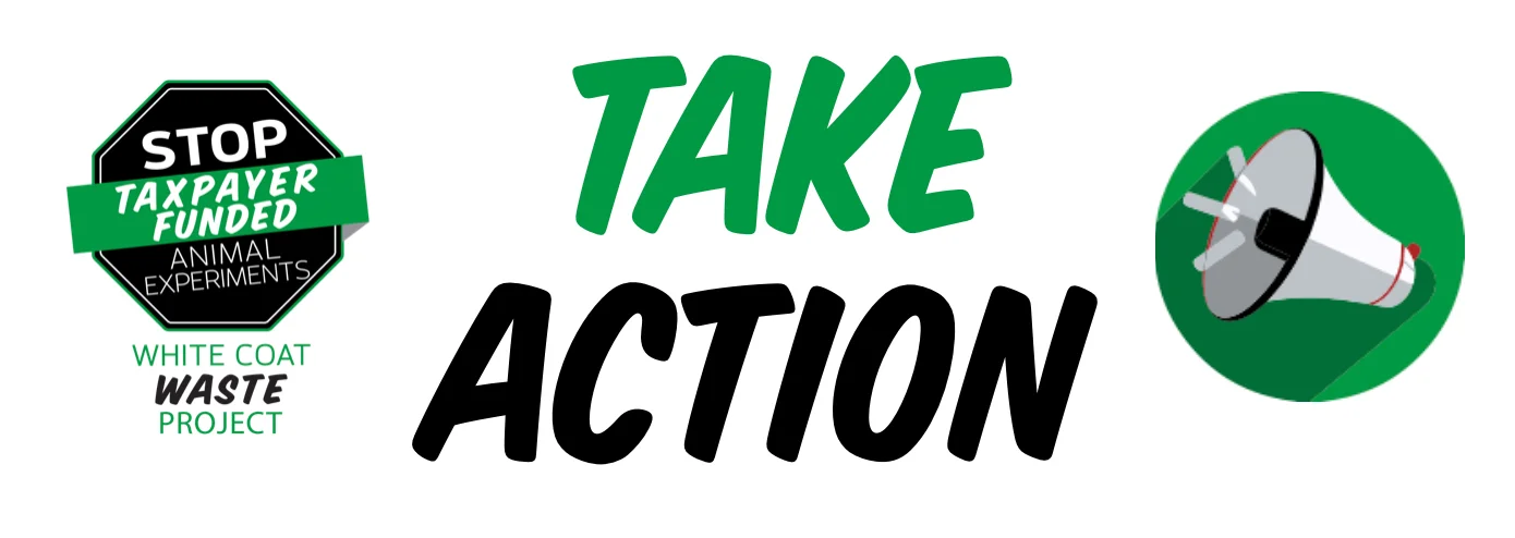 WCW-action-header-Cong-Plus.jpg