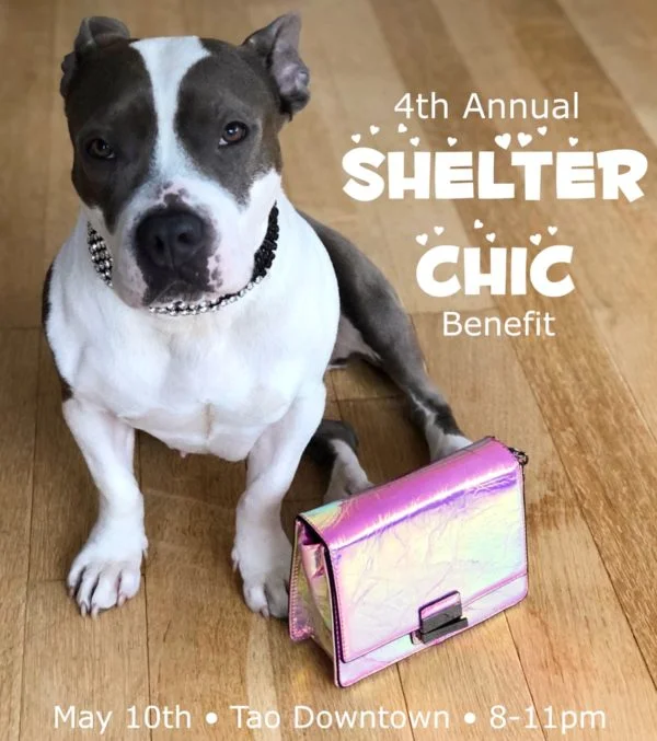Fourth Annual Shelter Chic Benefit