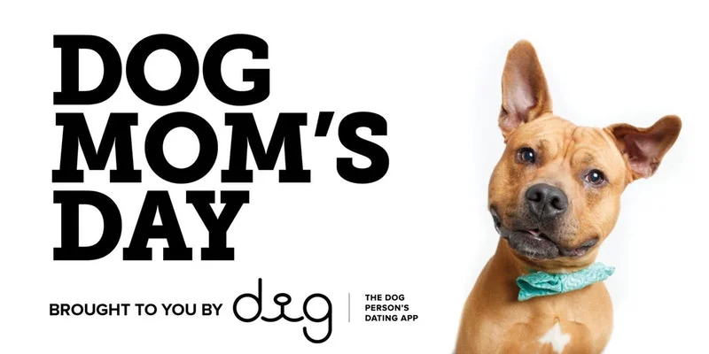 DOG MOM'S DAY