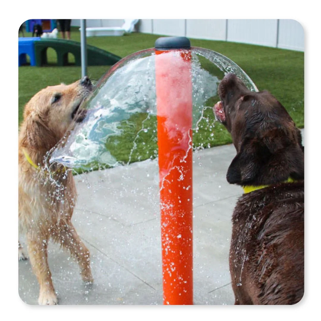 mckinney dog park.jpg