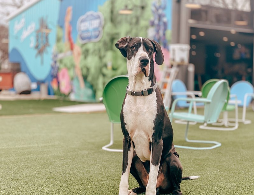 Screen Shot 2020-02-16 at 10.32.49 AM.png