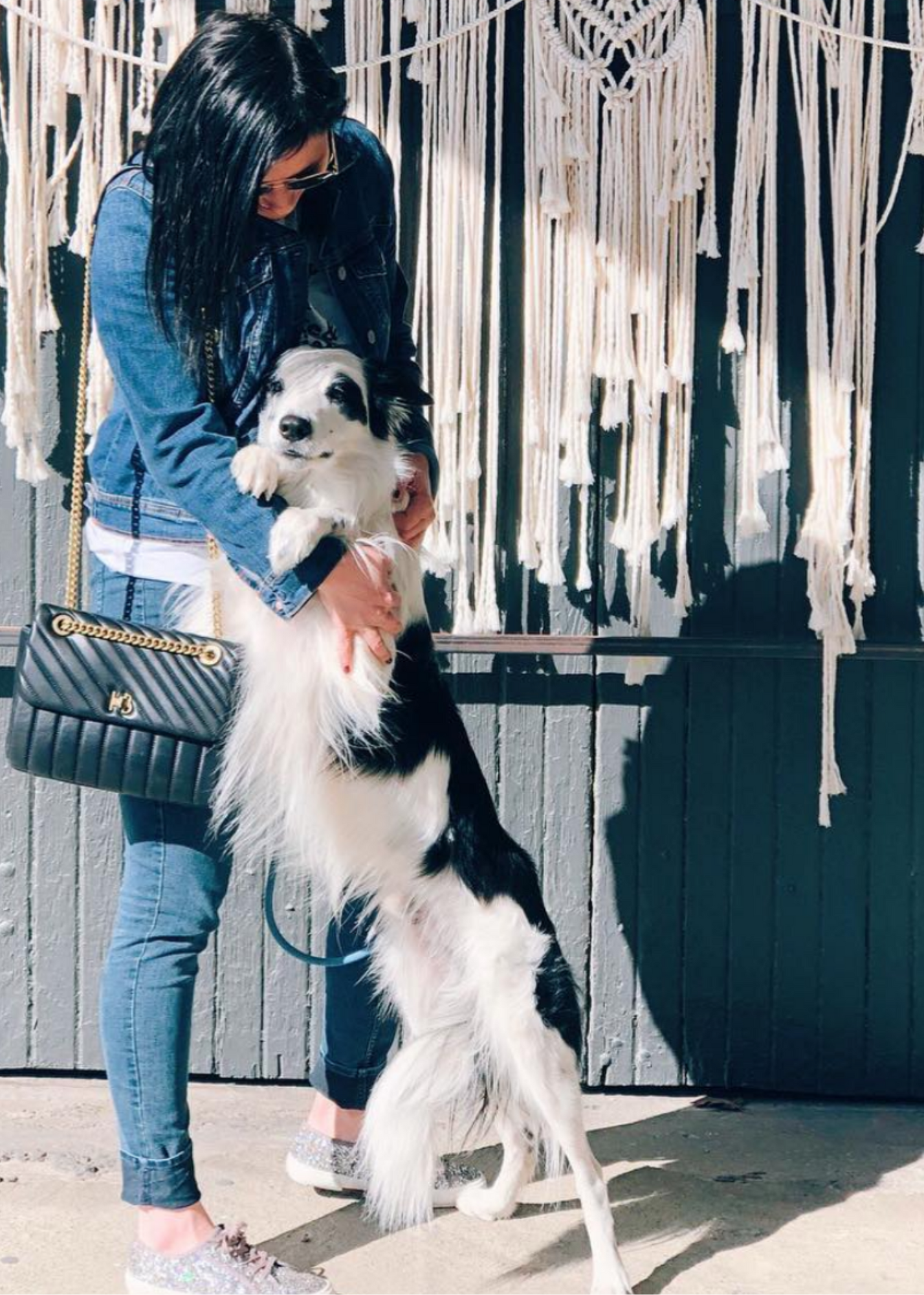 New Year, New Pup. Everything you and your dog need in 2019. 