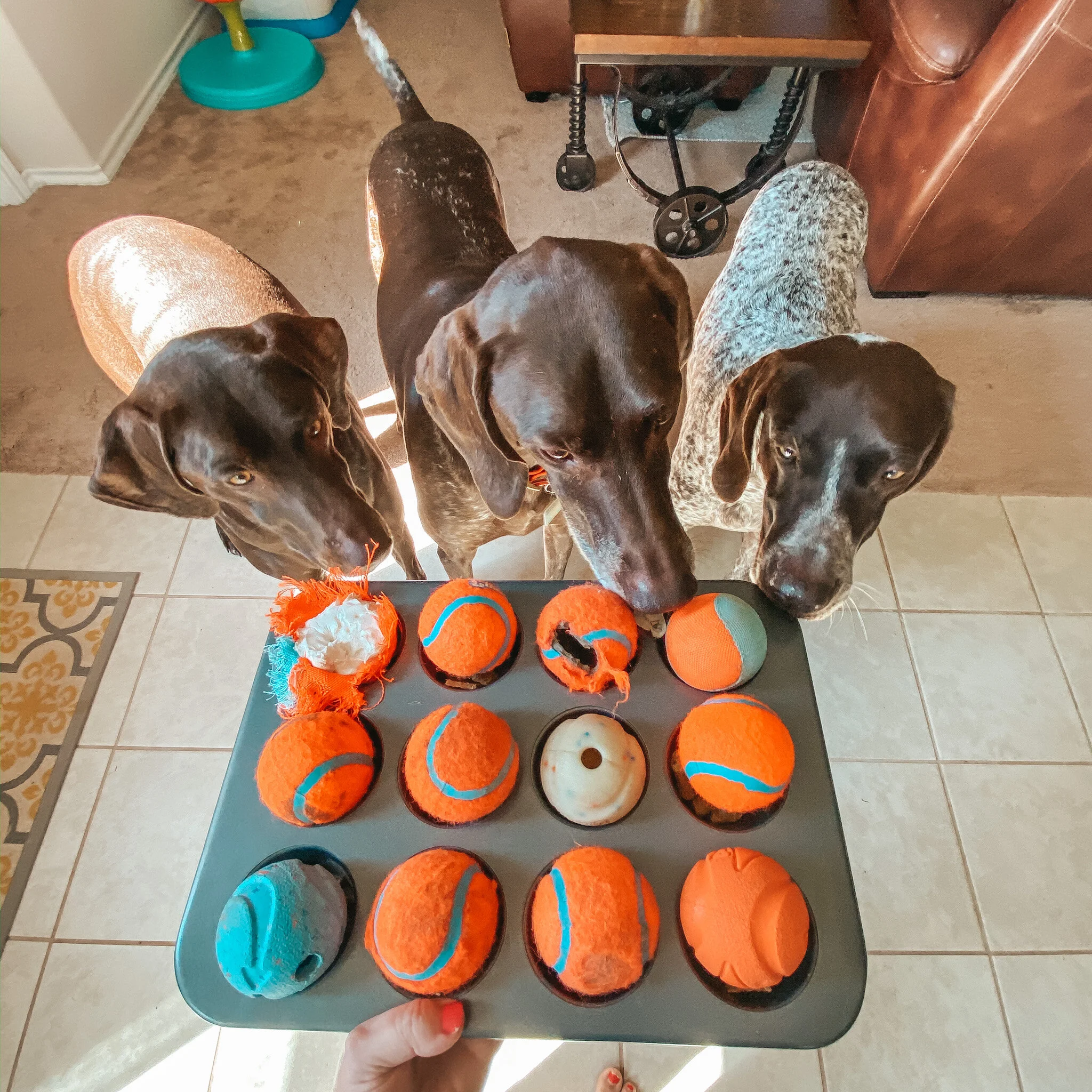 3 Ways the Stay-at-Home Dog Mom Gets Things Done