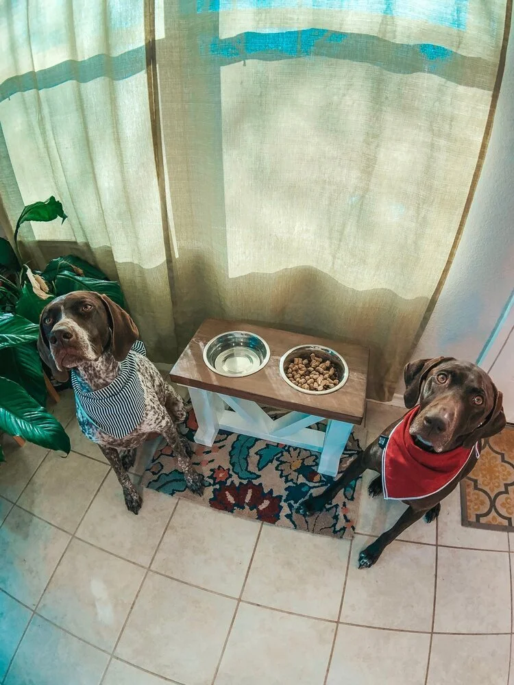 Bearwood Essentials - Farmhouse Decor for the Chic Dog Mom