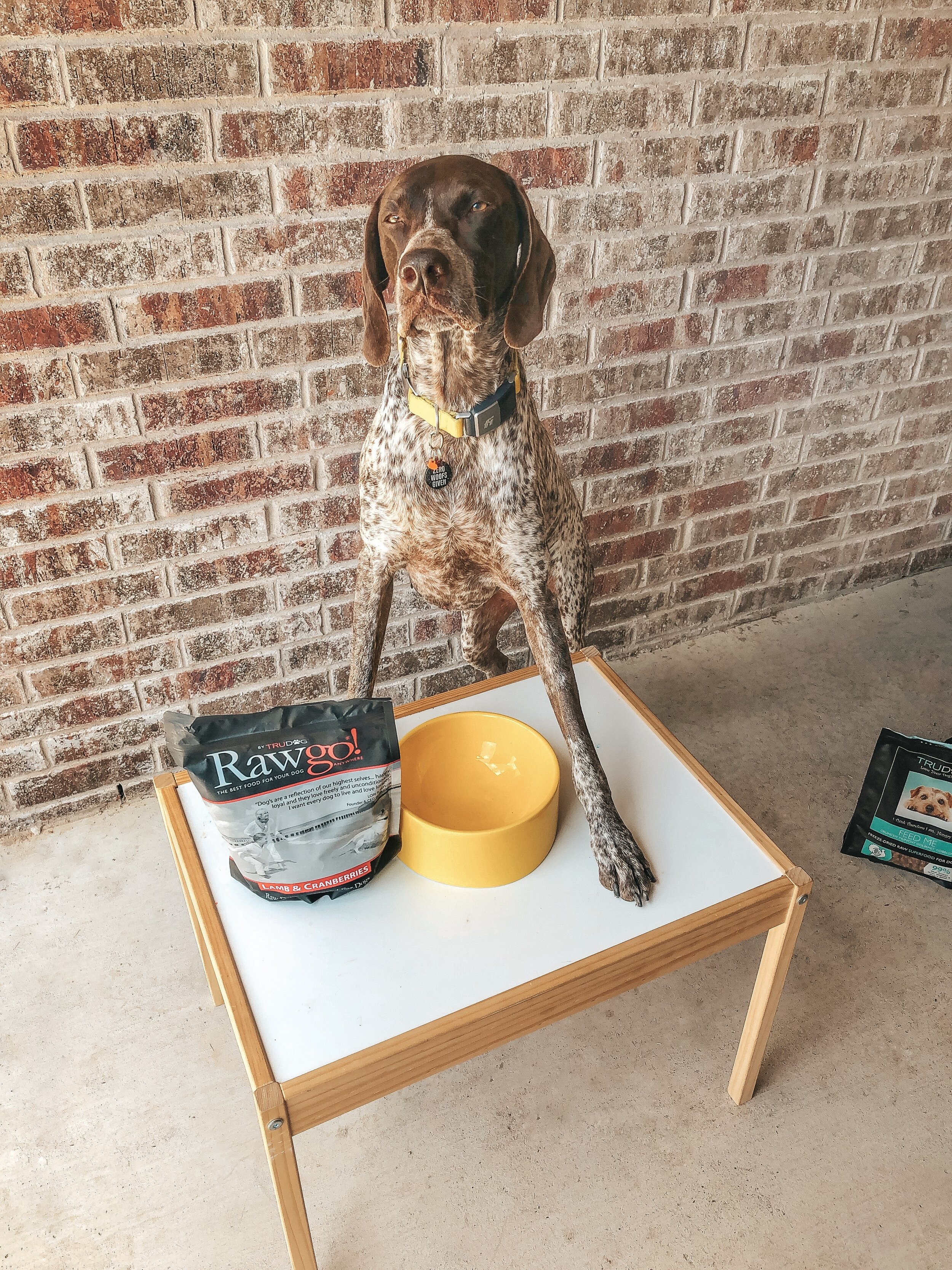 Living a Fuller, Happier, + Healthier life with TruDog