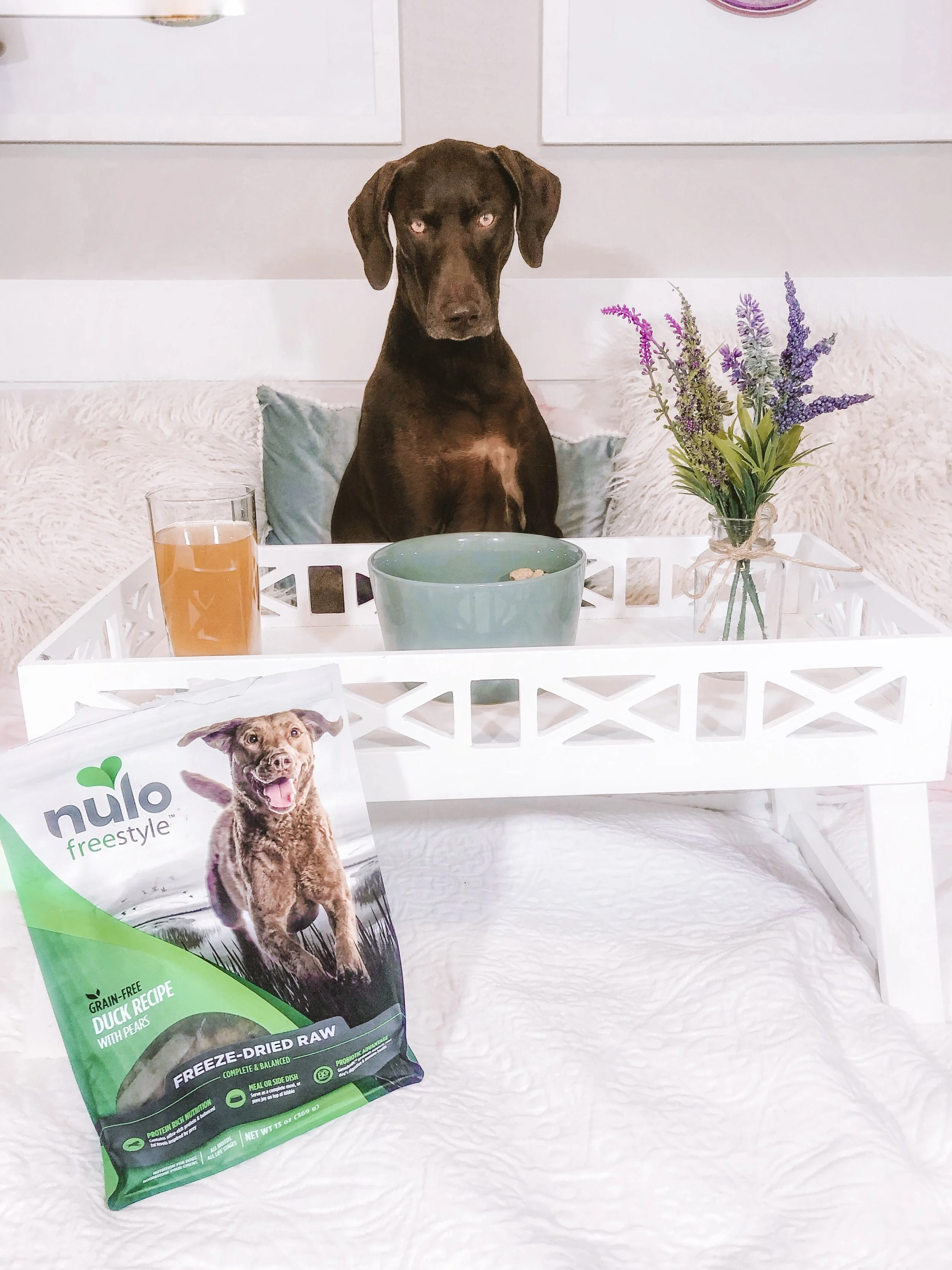 Living Healthier Together with Nulo