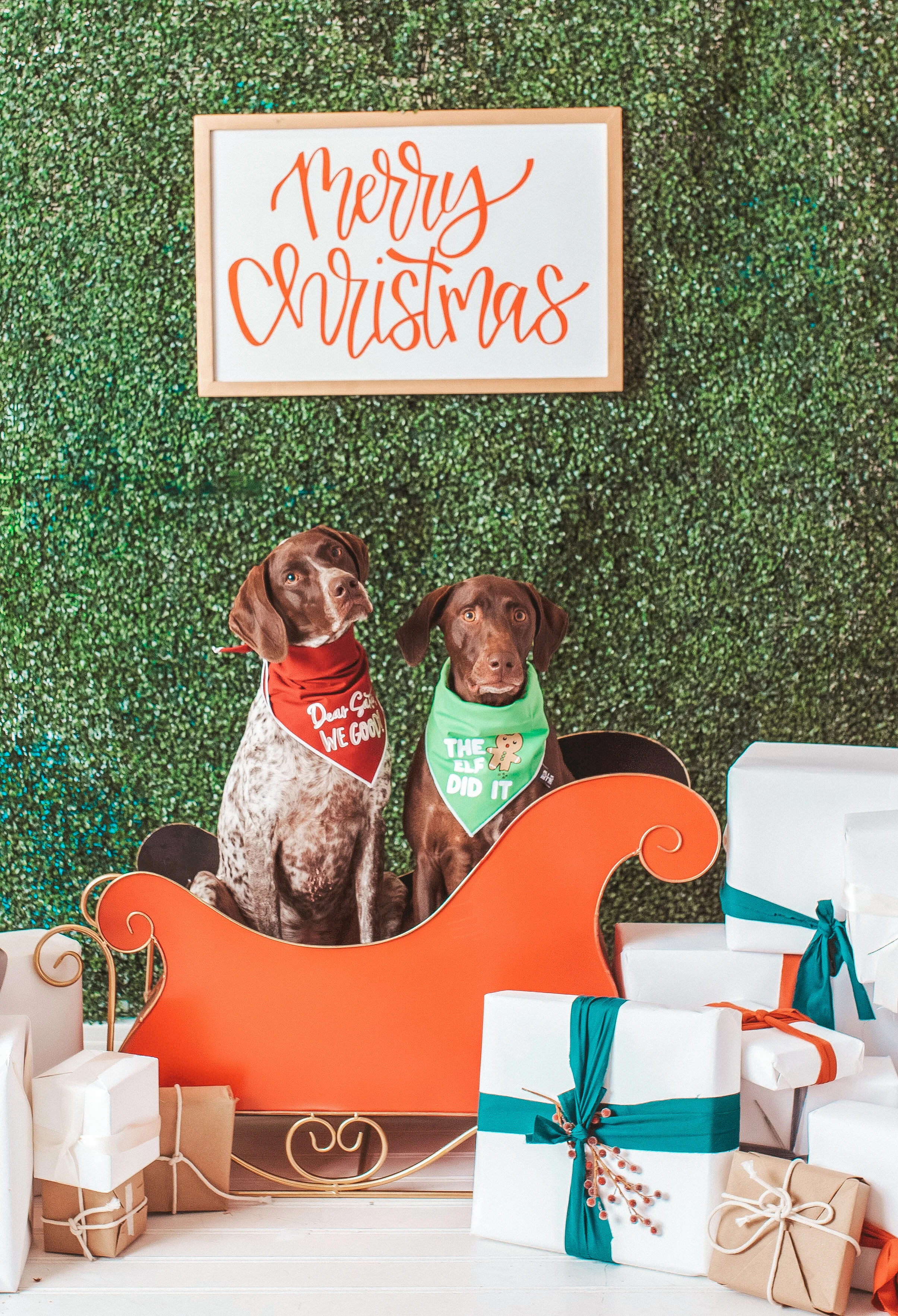 Ochoa Photography - The Greatest Investment for Lifetime Memories