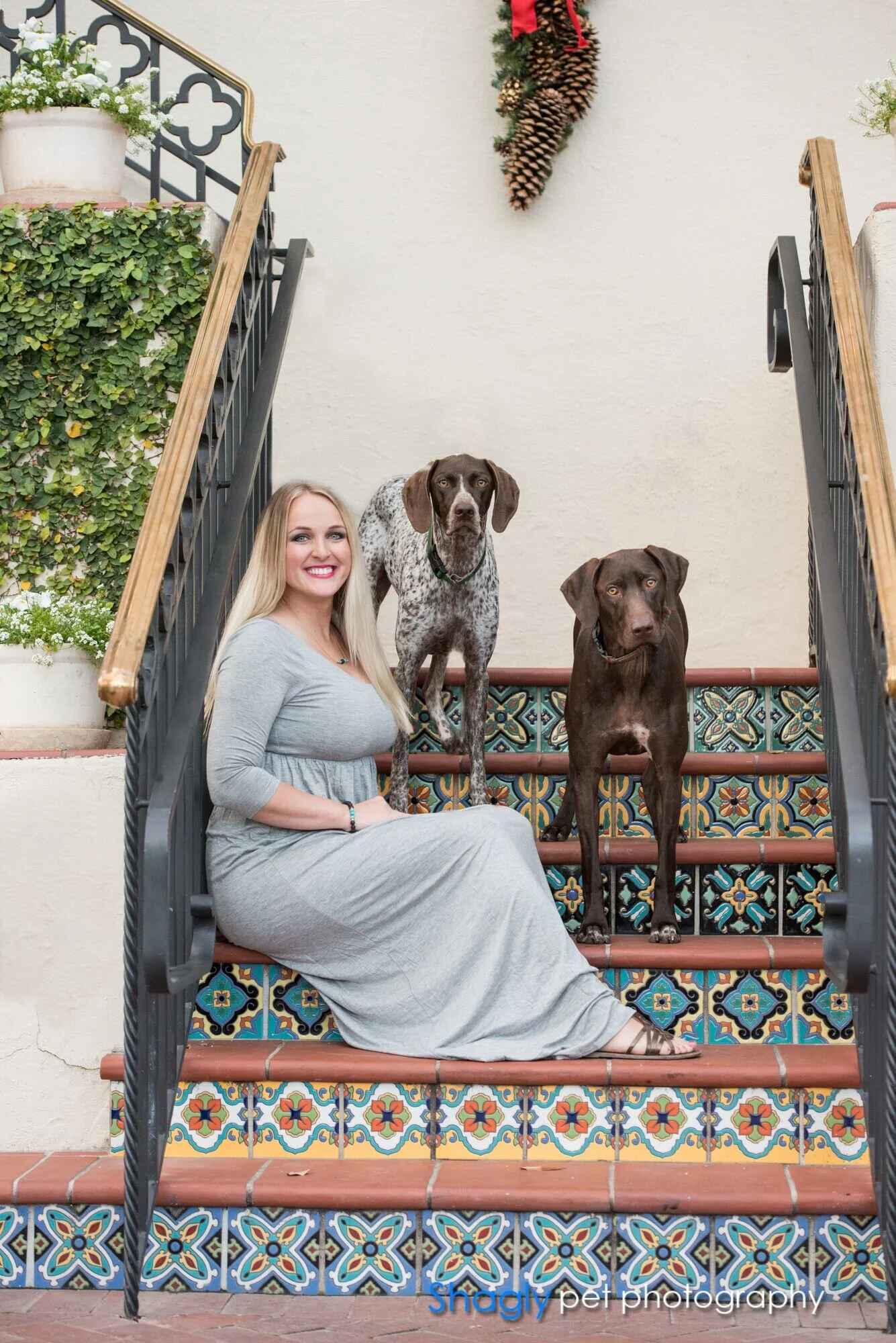 Shagly Pet Photography