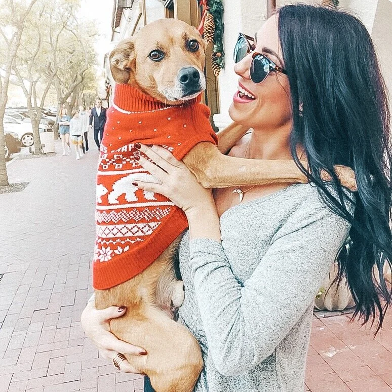 Christmas Picks for the Practical Dog Mom
