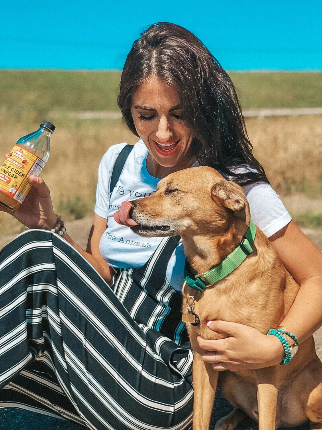 Easy Three Ingredient DIY For Your Itchy Dog