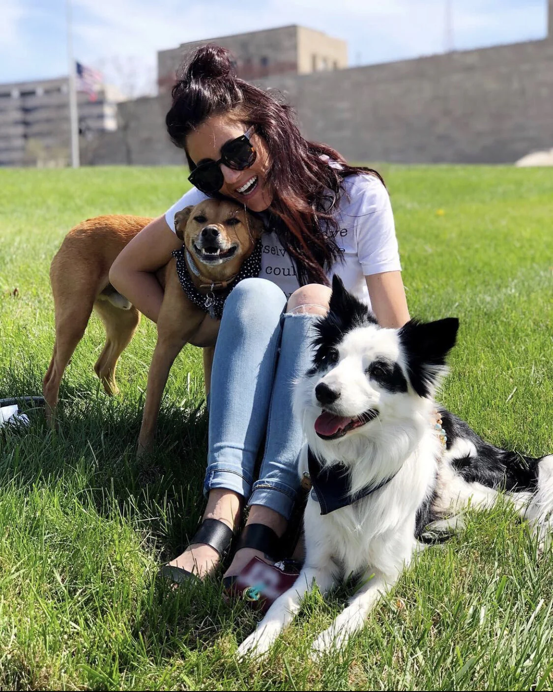 Microchip Your Dog- Know the Facts & Understand the Benefits