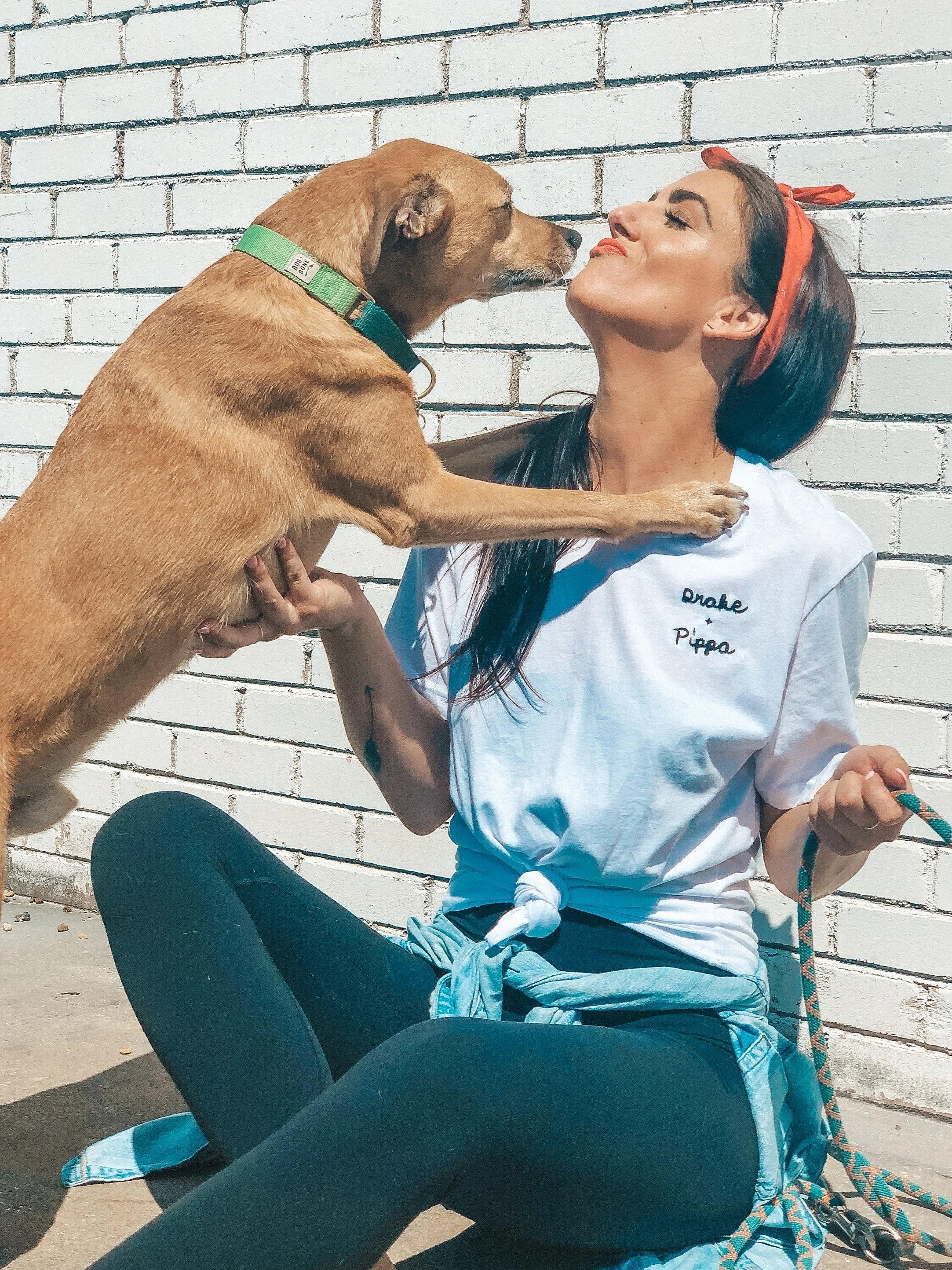 Isle of Dogs- Where Every Dog Shines