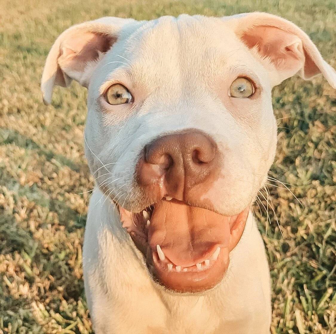 Which Organizations Should You Support on Giving Tuesday