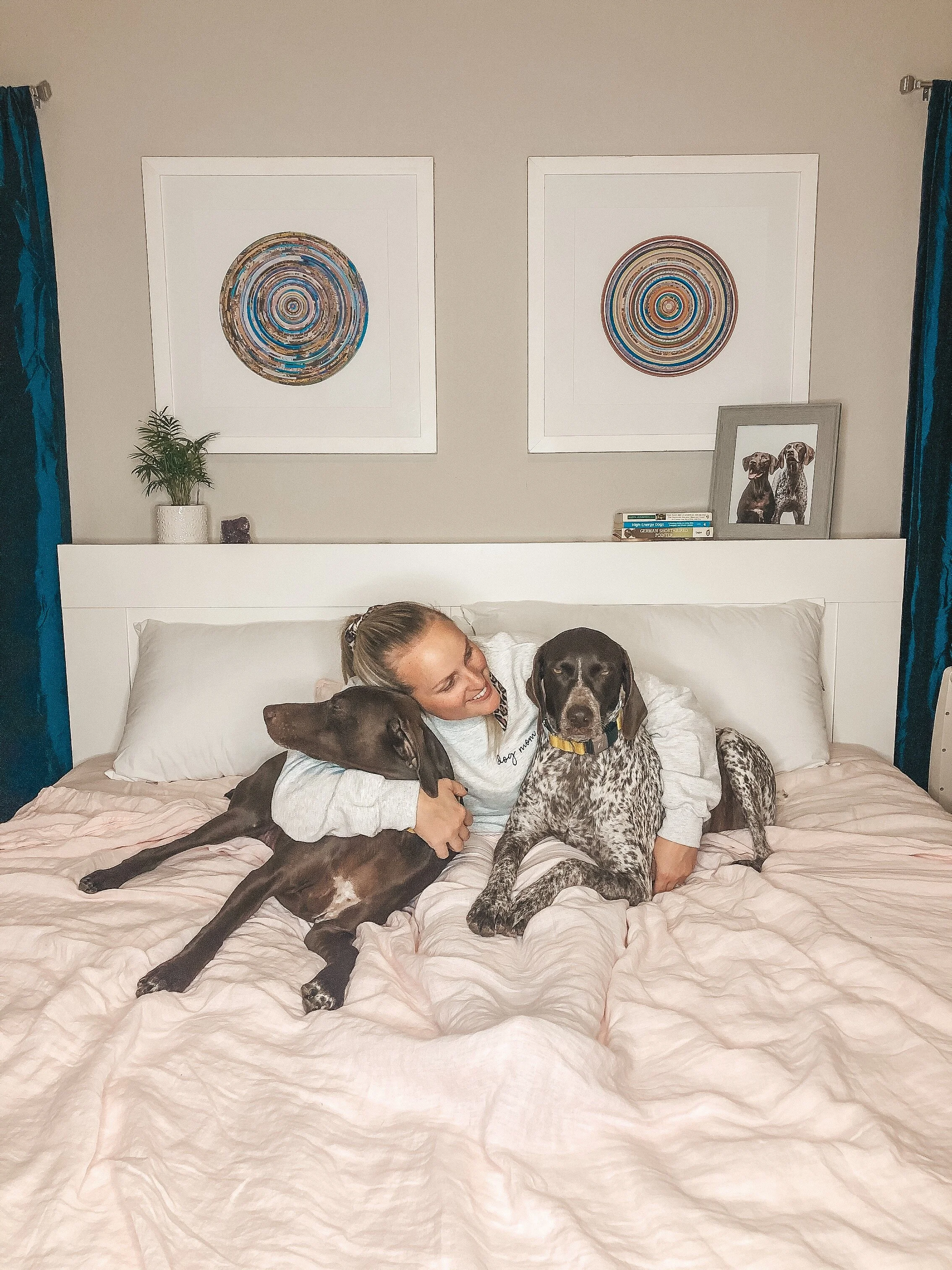 How To Choose the Best Dog-Friendly Mattress