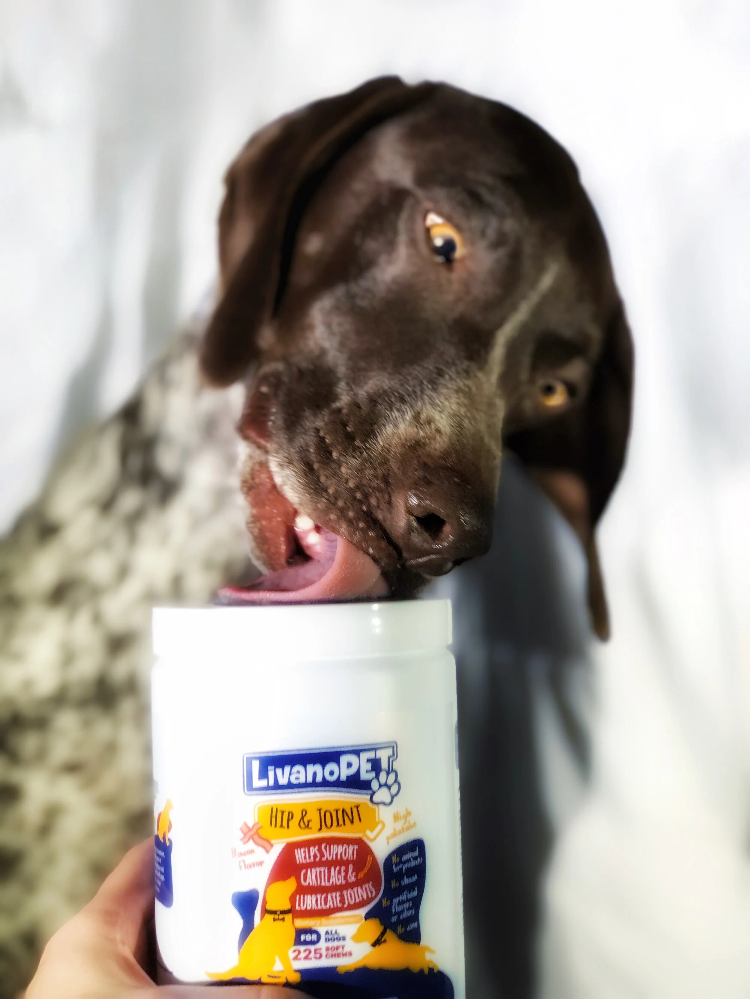 LivanoPET - The Supplement of Your Dog's Dreams