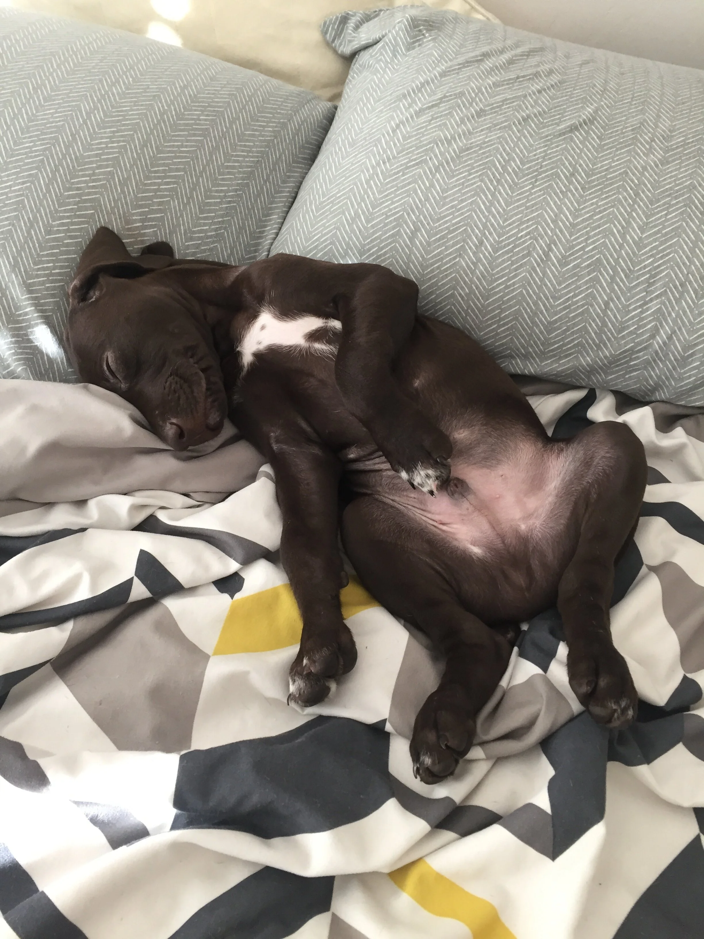 All-Natural Tummy Ache Solution