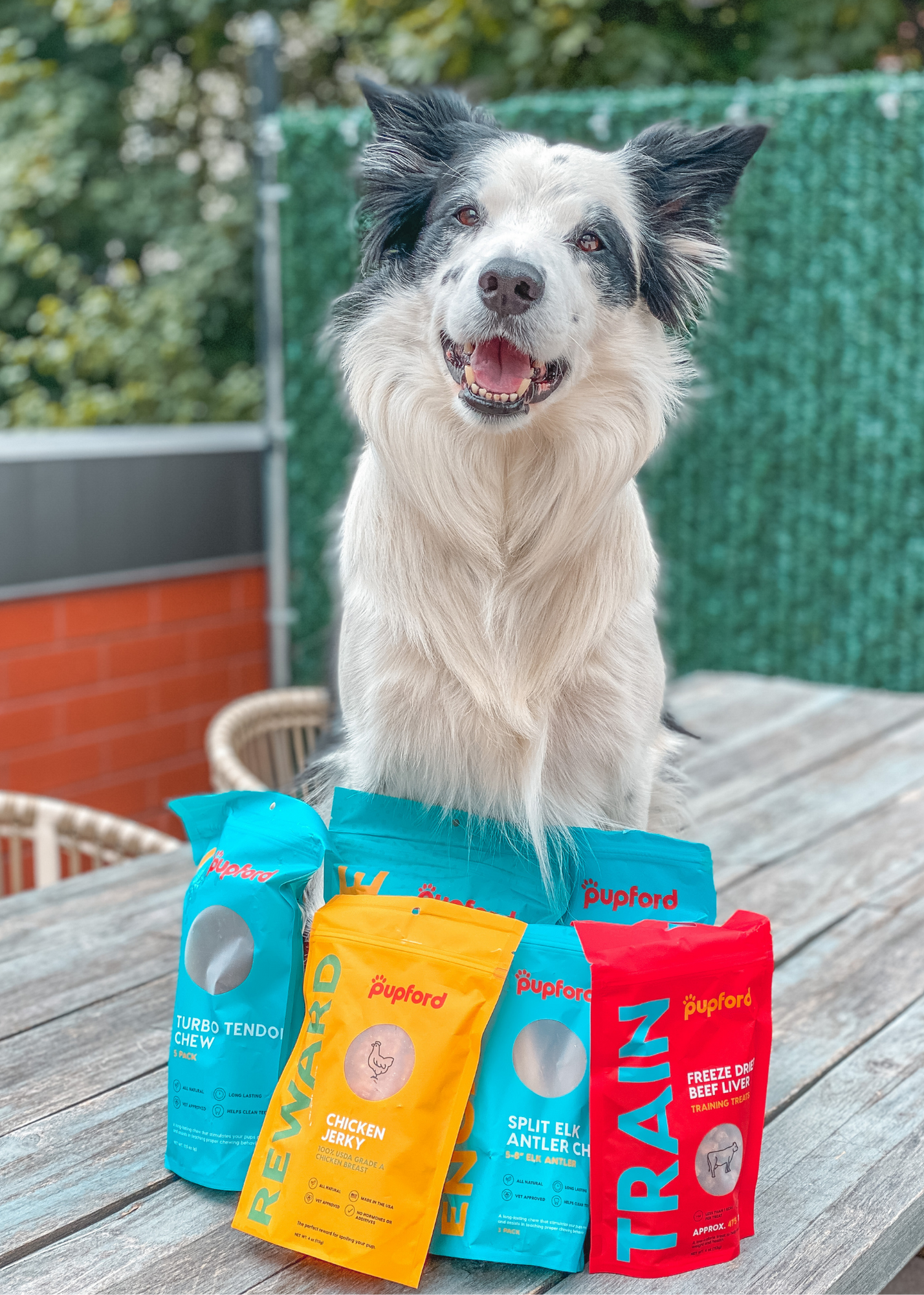 Pupford, The New Must Have For Every Dog Mom