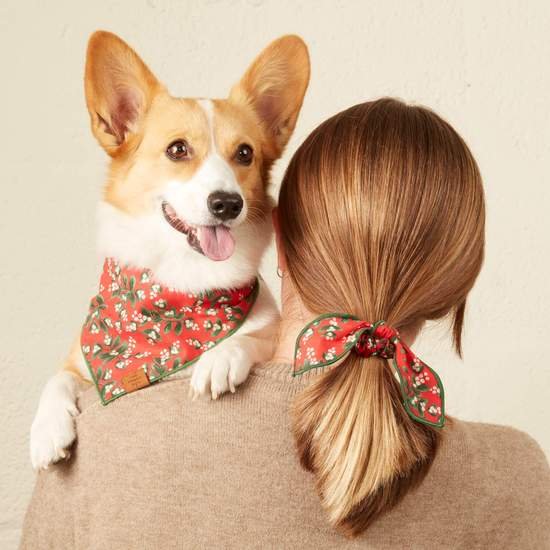 under-the-mistletoe-scrunchie-and-bandana-set-from-the-foggy-dog-675243_550x550.jpeg