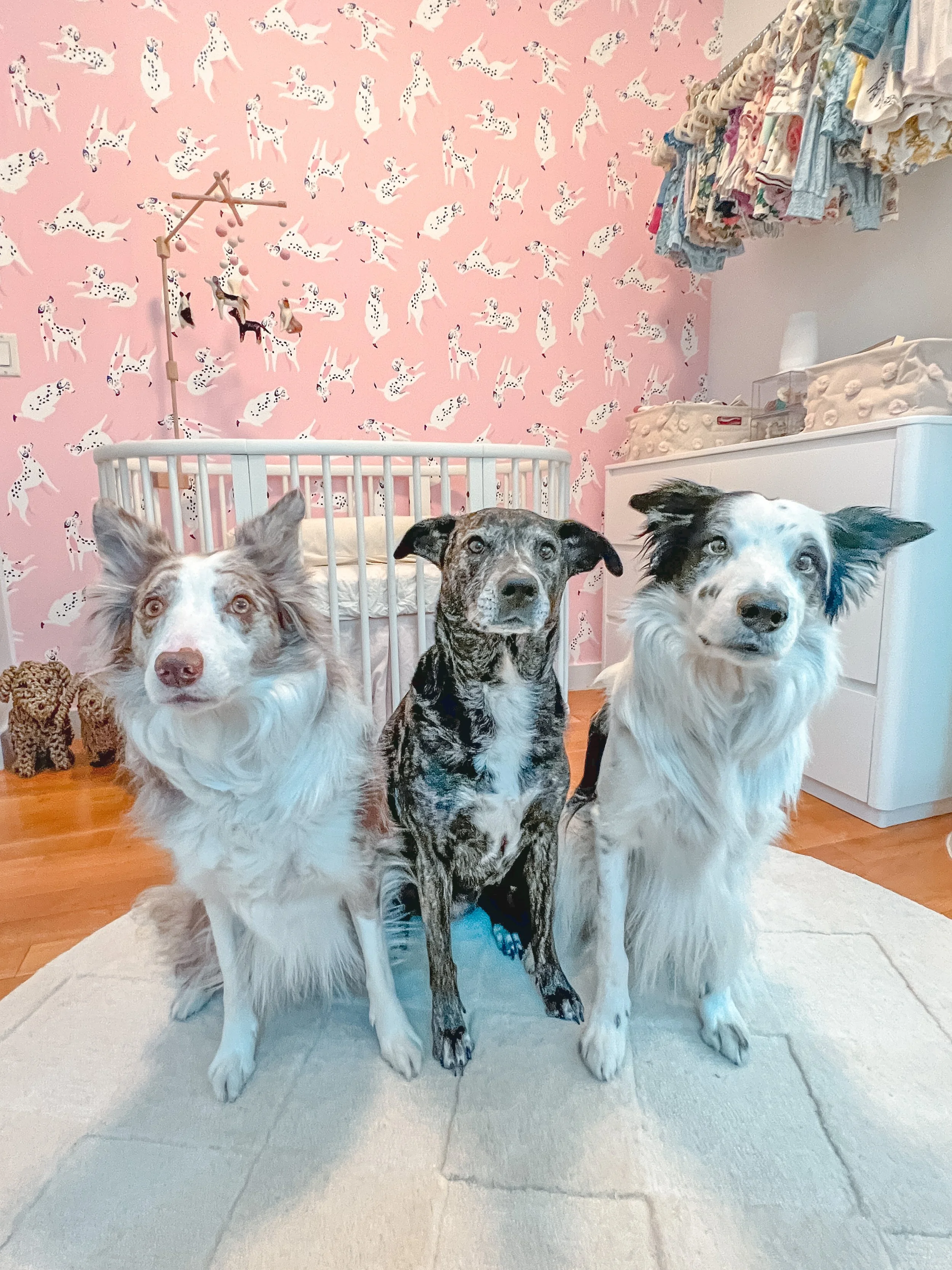 Dog- Themed Baby Nursery 