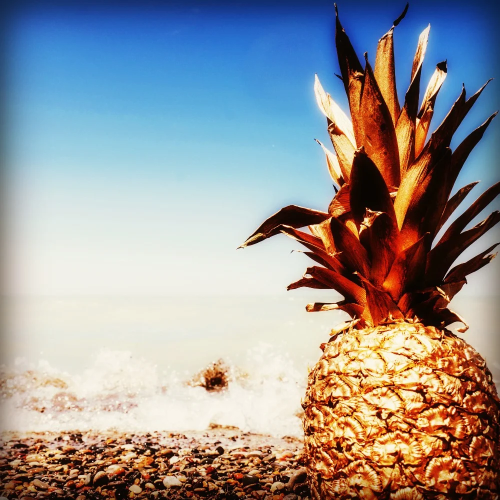 pineappleabundance.jpg