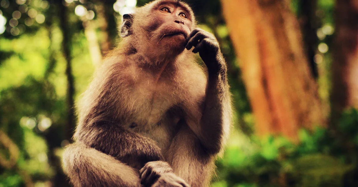 the way you breathe is the way you think. seriously.