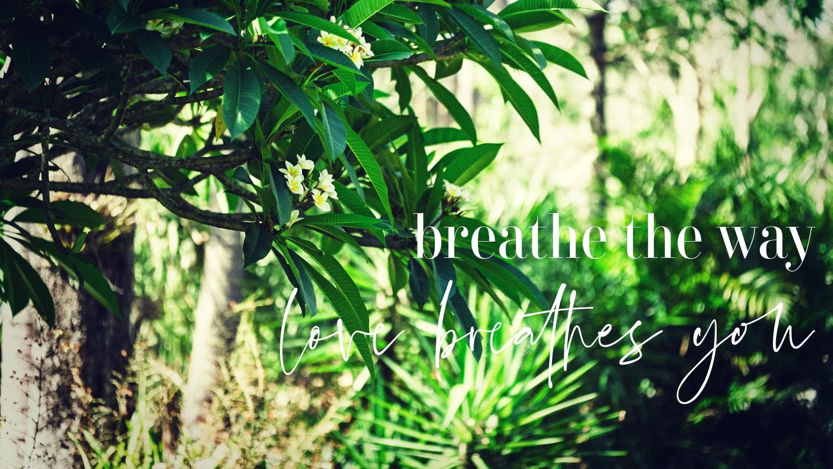 breath of lovefb-photo-by-dylan-buckee-47_54968058322_o copy.jpg