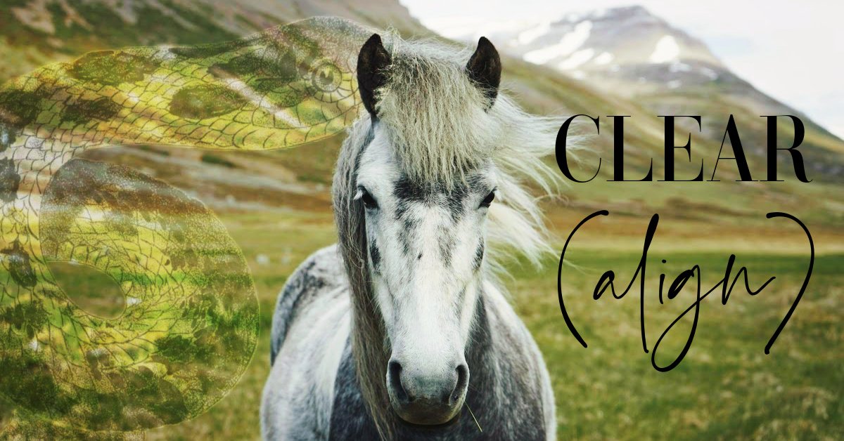 clear align simple.jpg