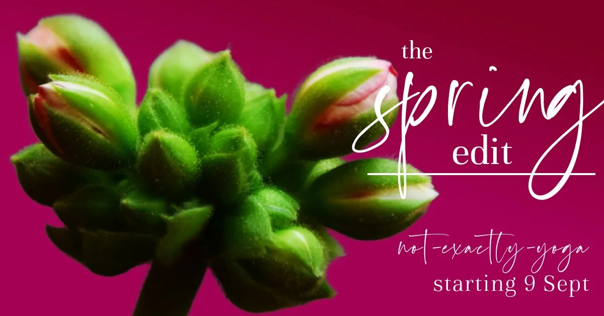 geranium budspringedit.jpg