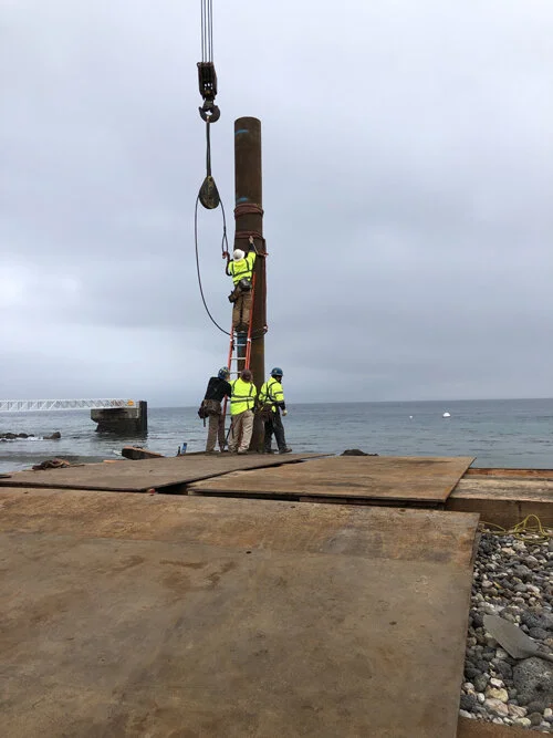 D.J. Scheffler &amp; Nye First to Be Highlighted in DFI's 2020 Spotlight