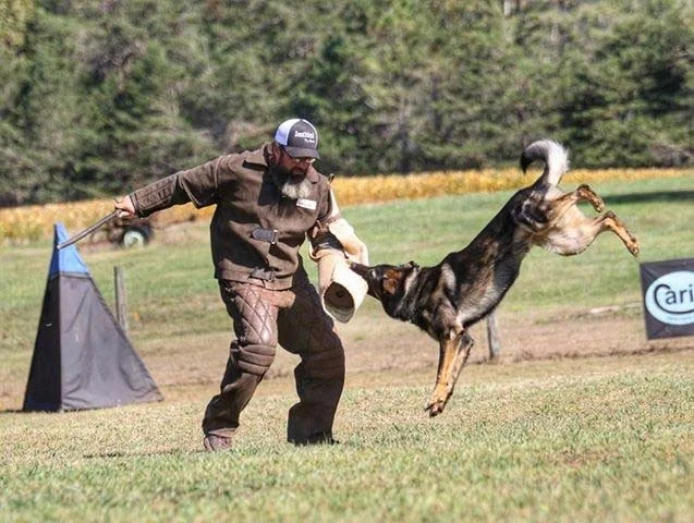 hank long bite.jpg