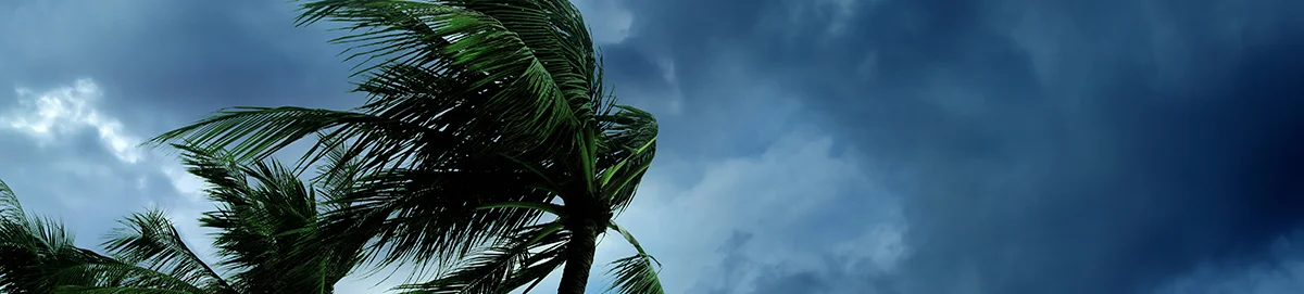Storm Prep Banner.jpg
