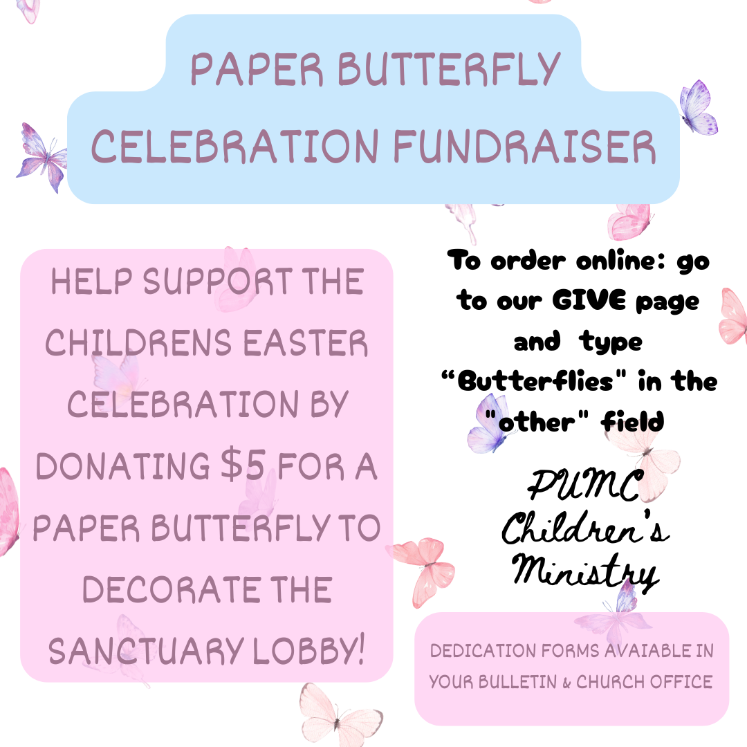 Butterfly fundraiser (Instagram Post).png