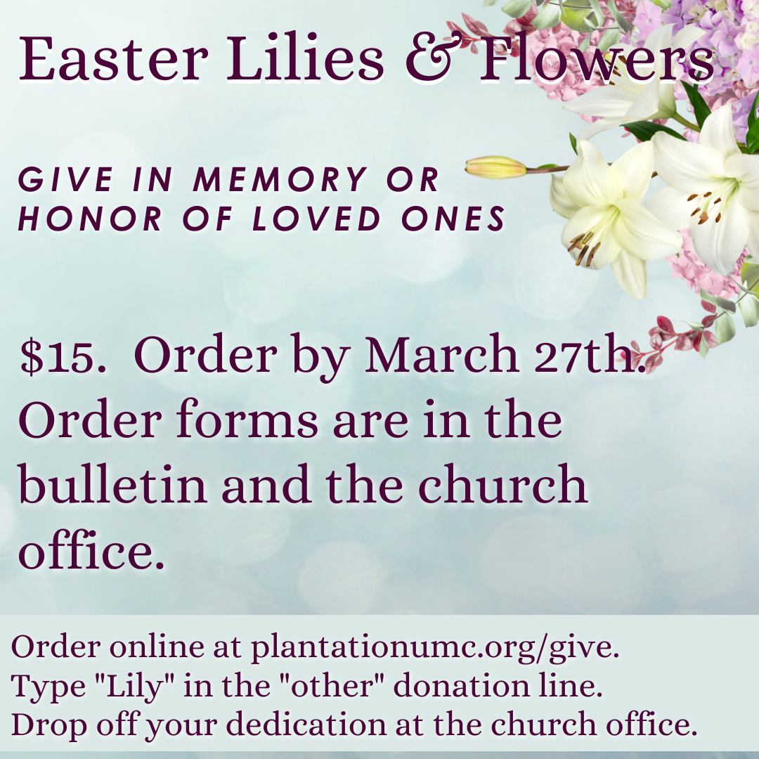 Lily slide (Instagram Post).png