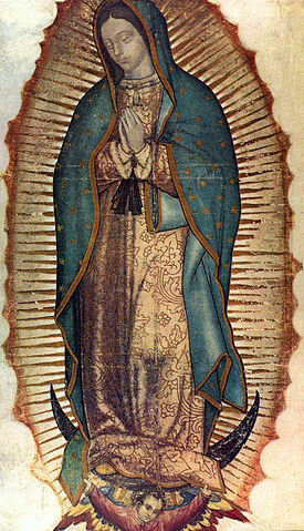 The Tilma, Our Lady of Guadalupe