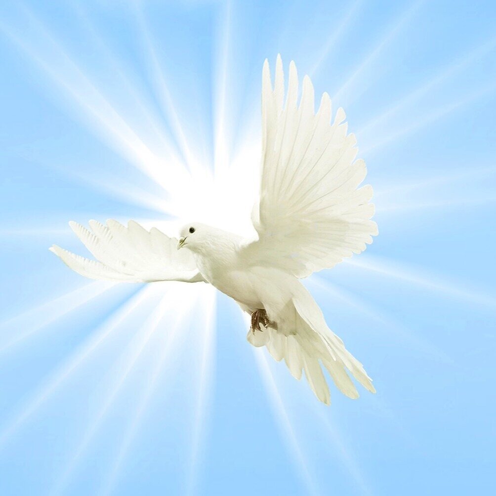 Dove as Symbol of the Holy Spirit