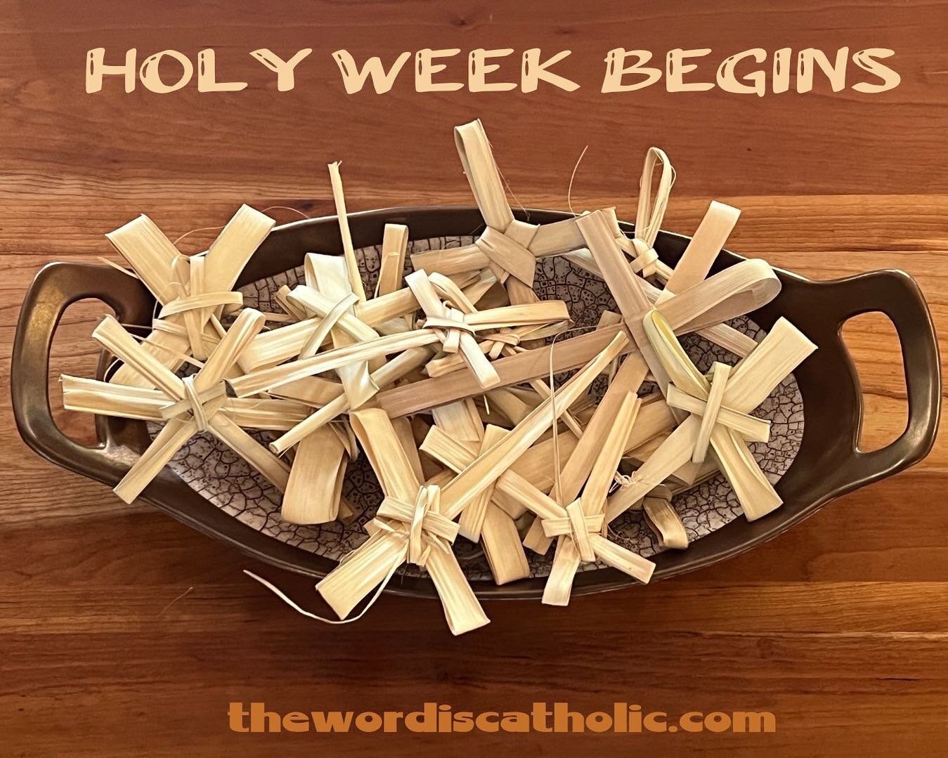 Palm Sunday marks the beginning of Holy Week. Jesus goes from his triumphant entry to Jerusalem to his Passion and Crucifixion and finally to the Resurrection. Prayers and contemplation will occupy our week. 
.
Peace be with you!
.
.
.
.
#prayer #ros