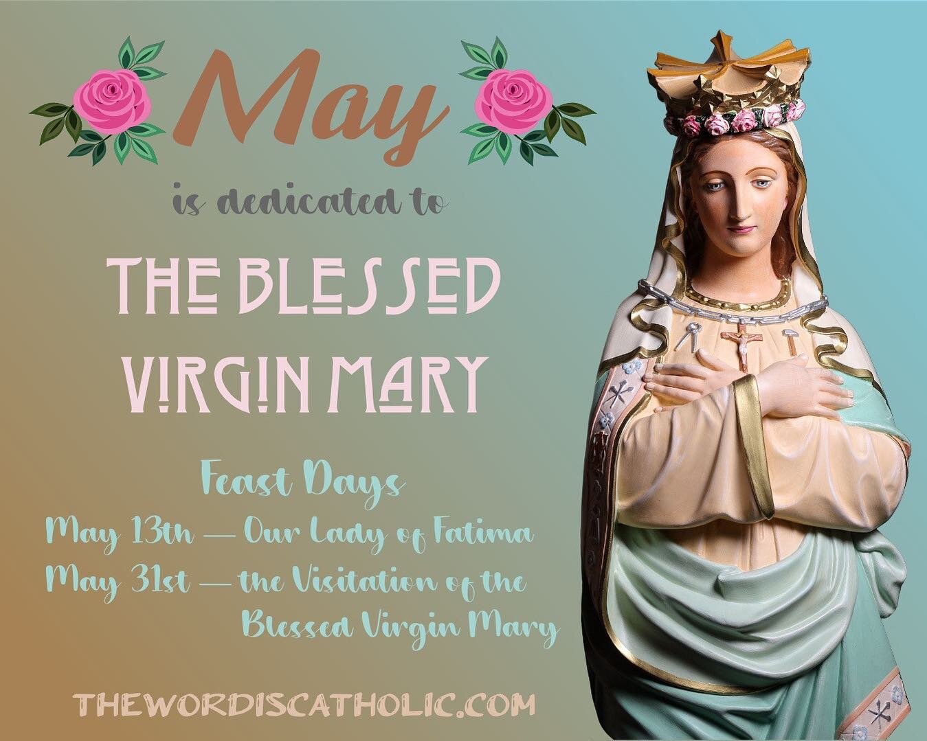 May is devoted to the Blessed Virgin Mary, Mother of God and Mother of the Church. How fitting that we should honor all mothers this month as well.
.
A prayer from the Diary of St. Faustina:
.
O Mary, my Mother and my Lady, I offer You my soul, my bo