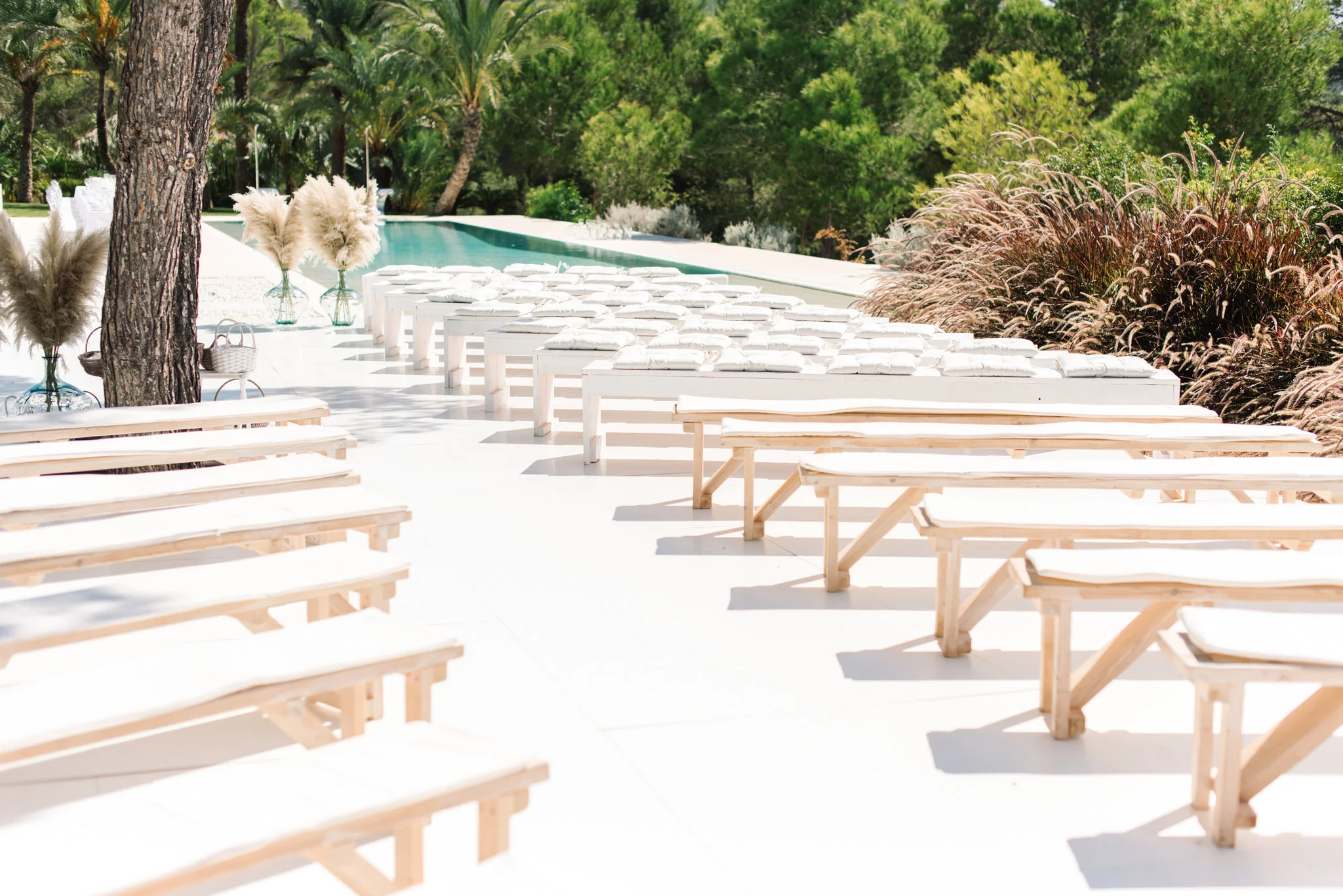 This photo is courtesy of Ana Lui