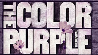 THE COLOR PURPLE MUSICAL - WASHINGTON DC Price: $69 - $149