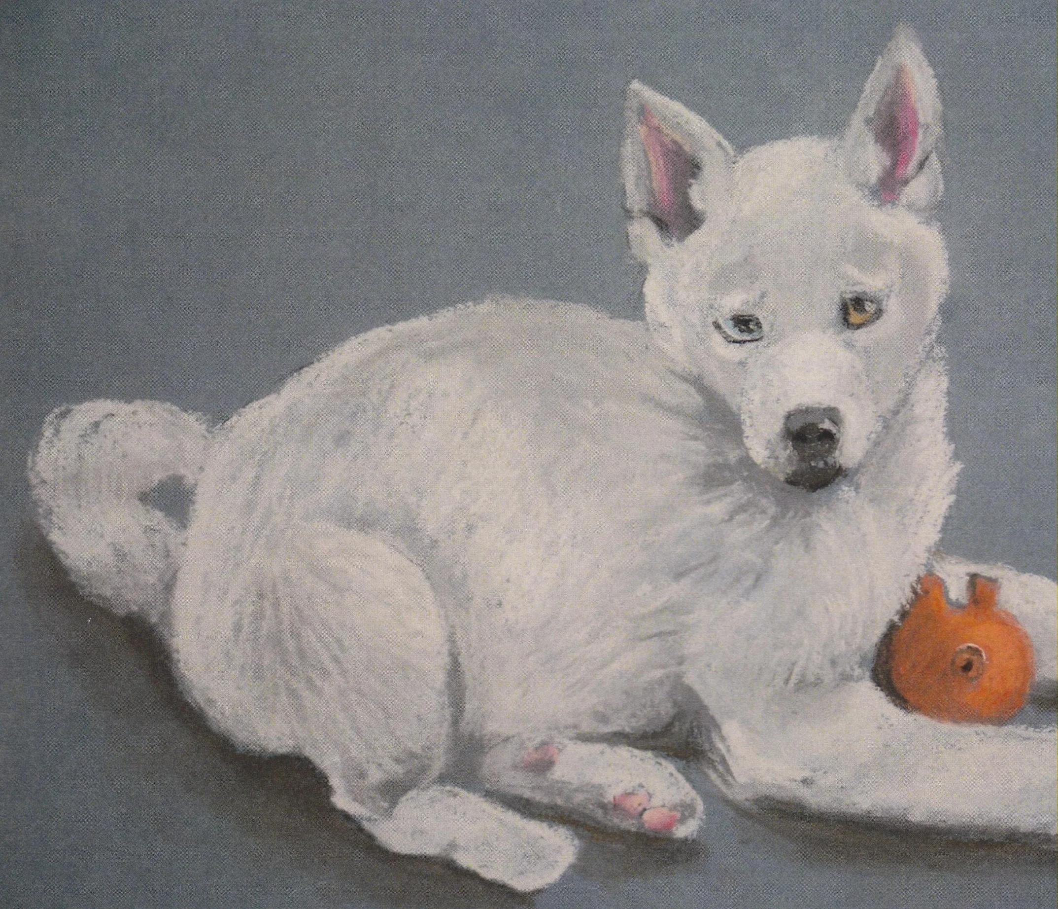 white Doggy 001.jpg