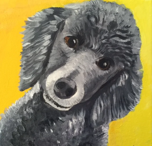poodle redux.jpg