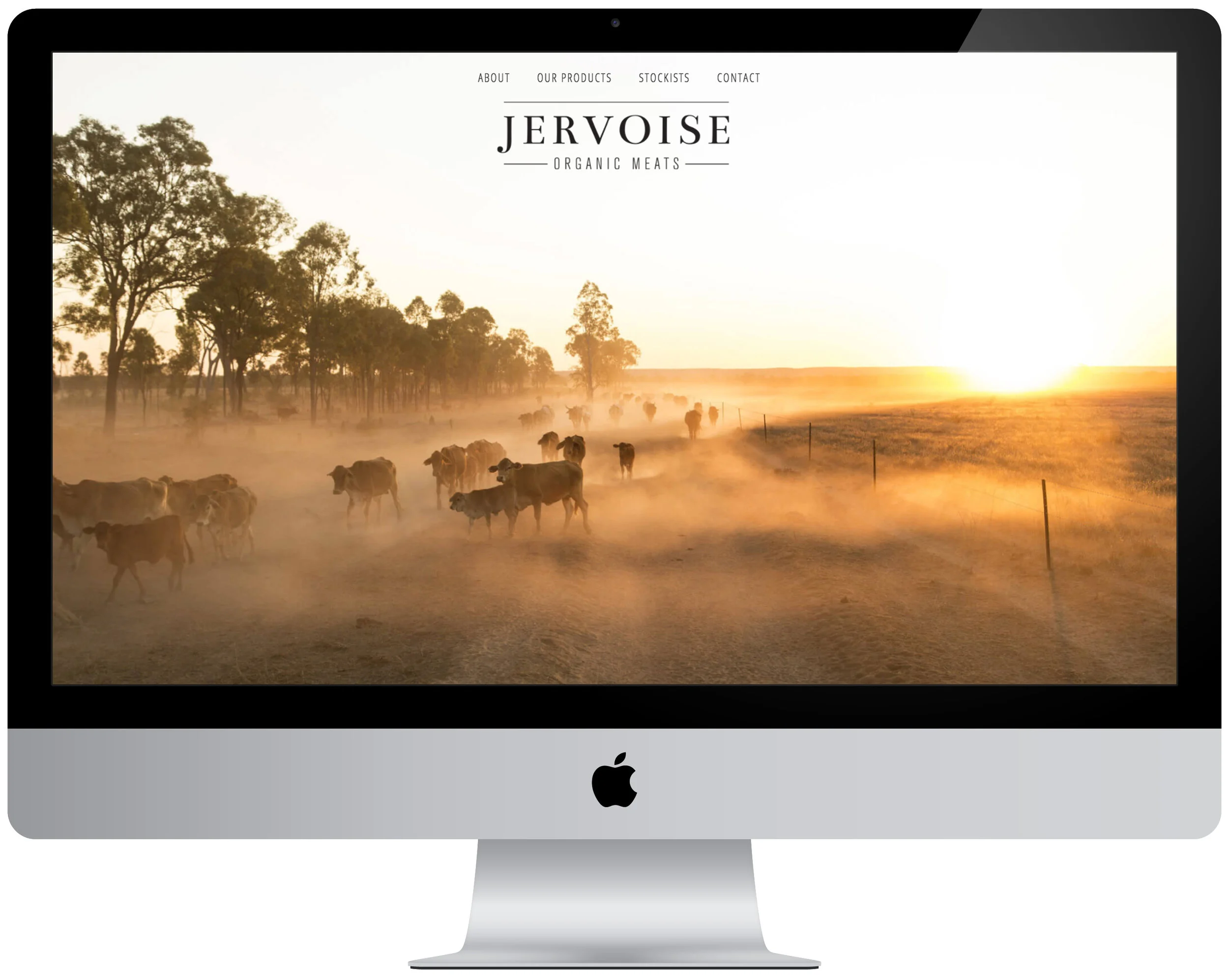 The Jervoise website, designed by our talented friends Teegan and Stephen of Verve Design - also completed through a trade/exchange arrangement! 