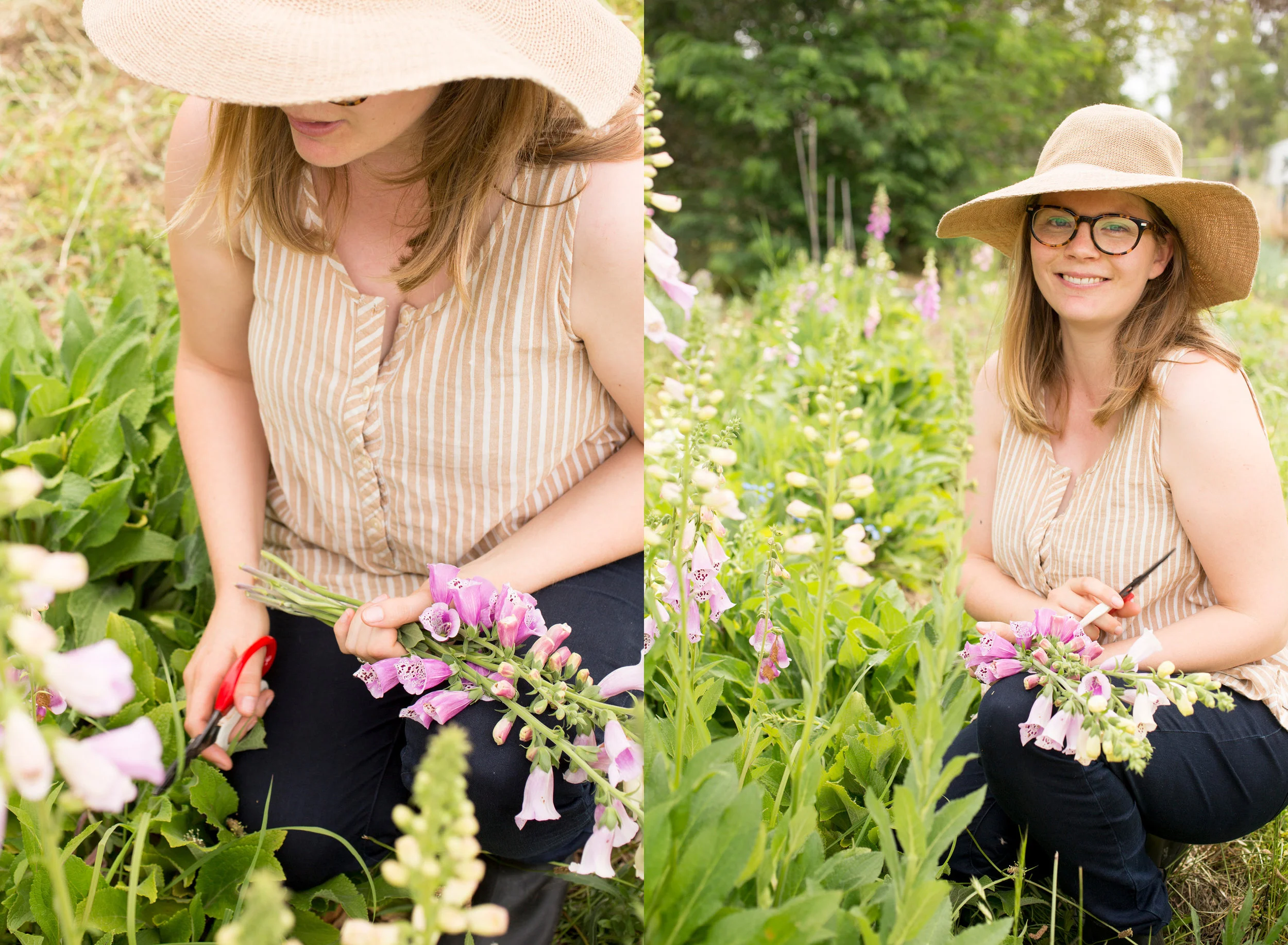 Dom amongst her beautiful seasonal blooms