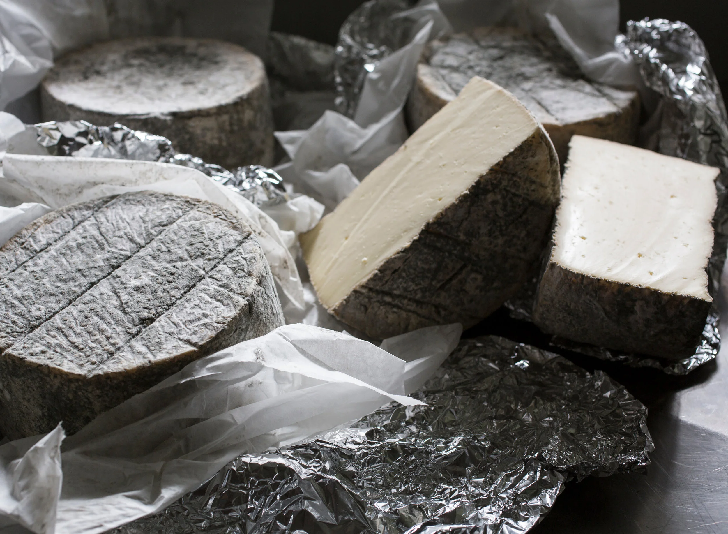 WillWorkForFood_Pecora5.jpg