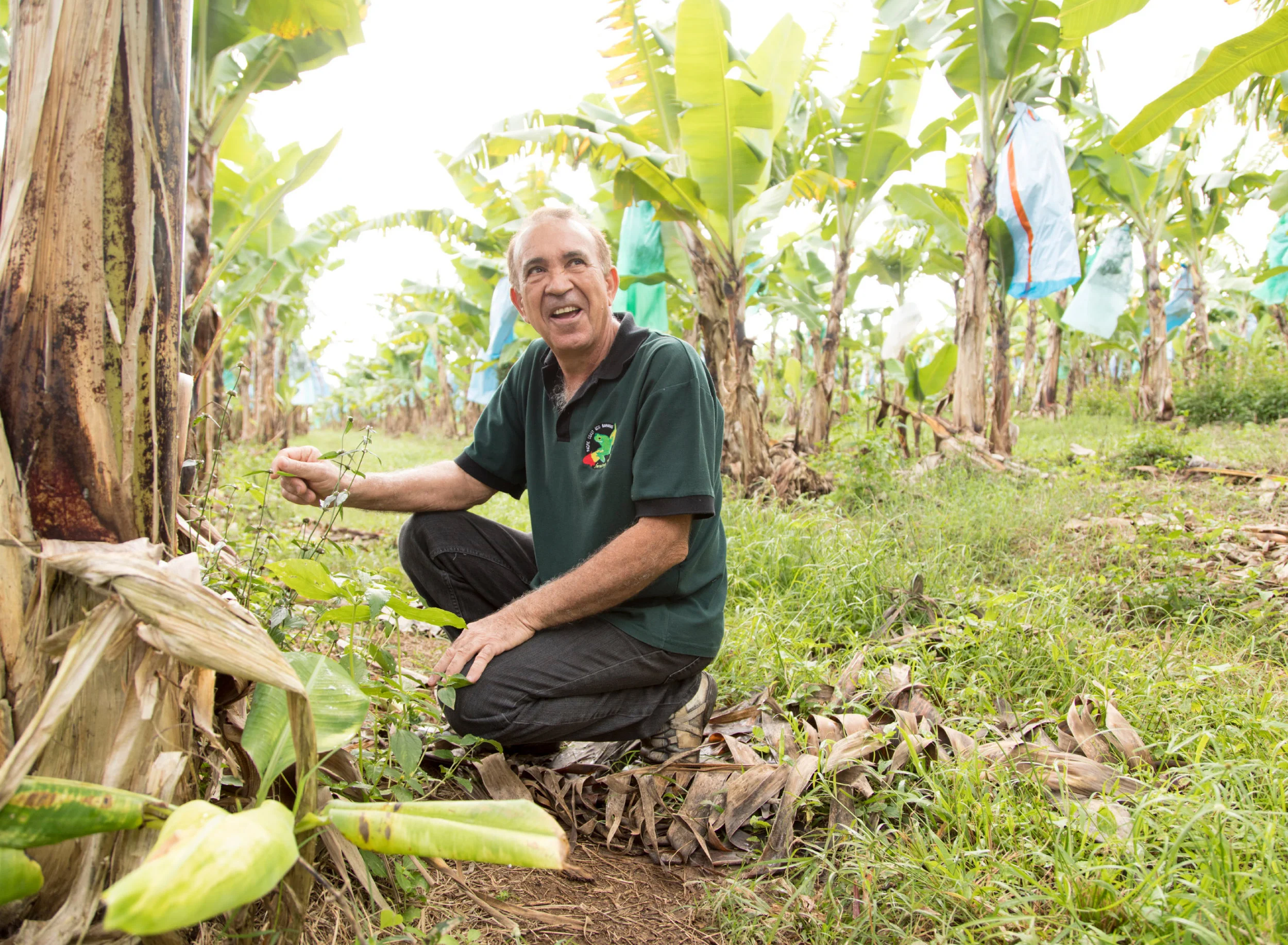 WillWorkForFood_EcoBananas6.jpg