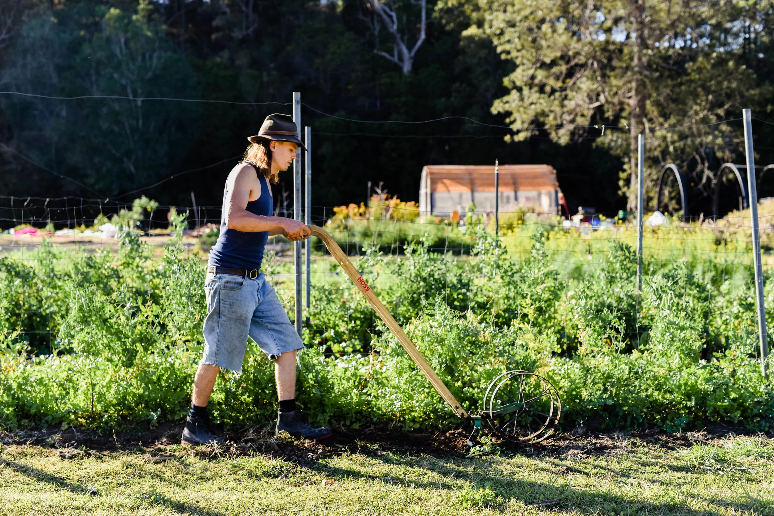 WWFF-Loop Growers-hannah puechmarin-8319.jpg