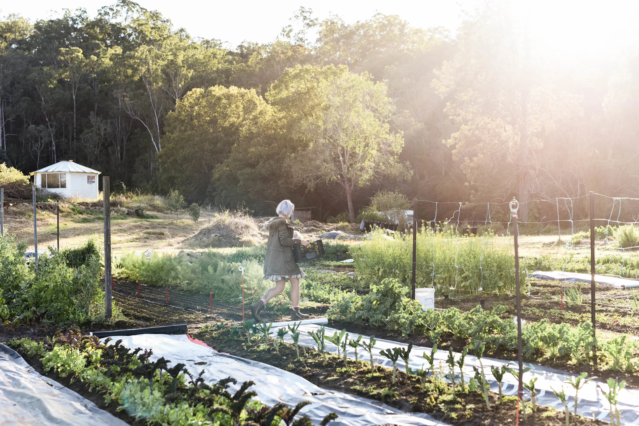 WWFF-Loop Growers-hannah puechmarin-8079.jpg