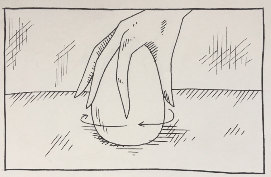 Starting The Egg